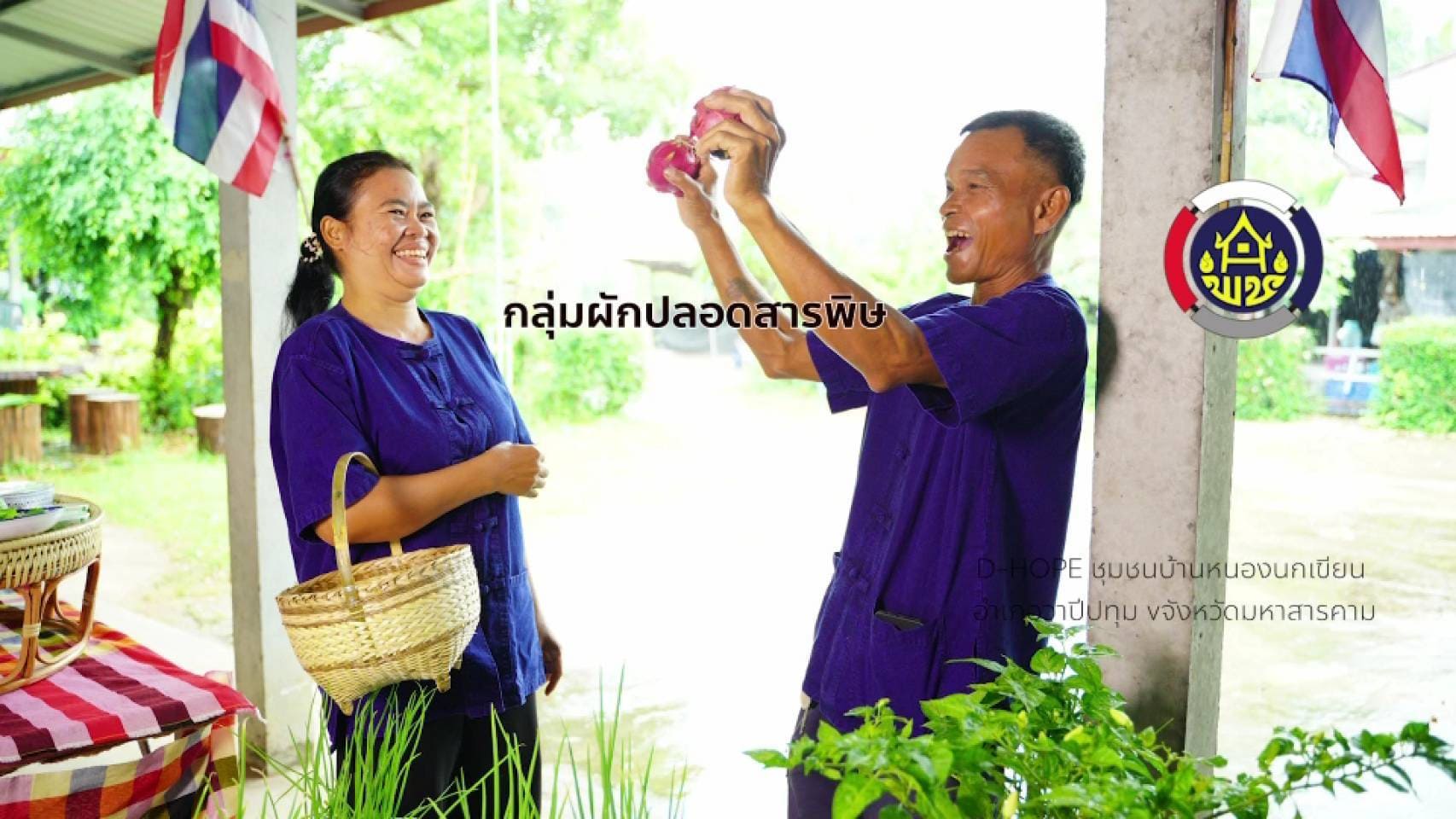 🥬🌱 ผักปลอดสารพิษ บ้านหนองนกเขียน สดจากชุมชน ส่งต่อความใส่ใจถึงทุกครัวเรือน 